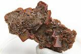 Lustrous, Red-Orange Wulfenite Cluster - Kuruktag Mountains, China #225040-1